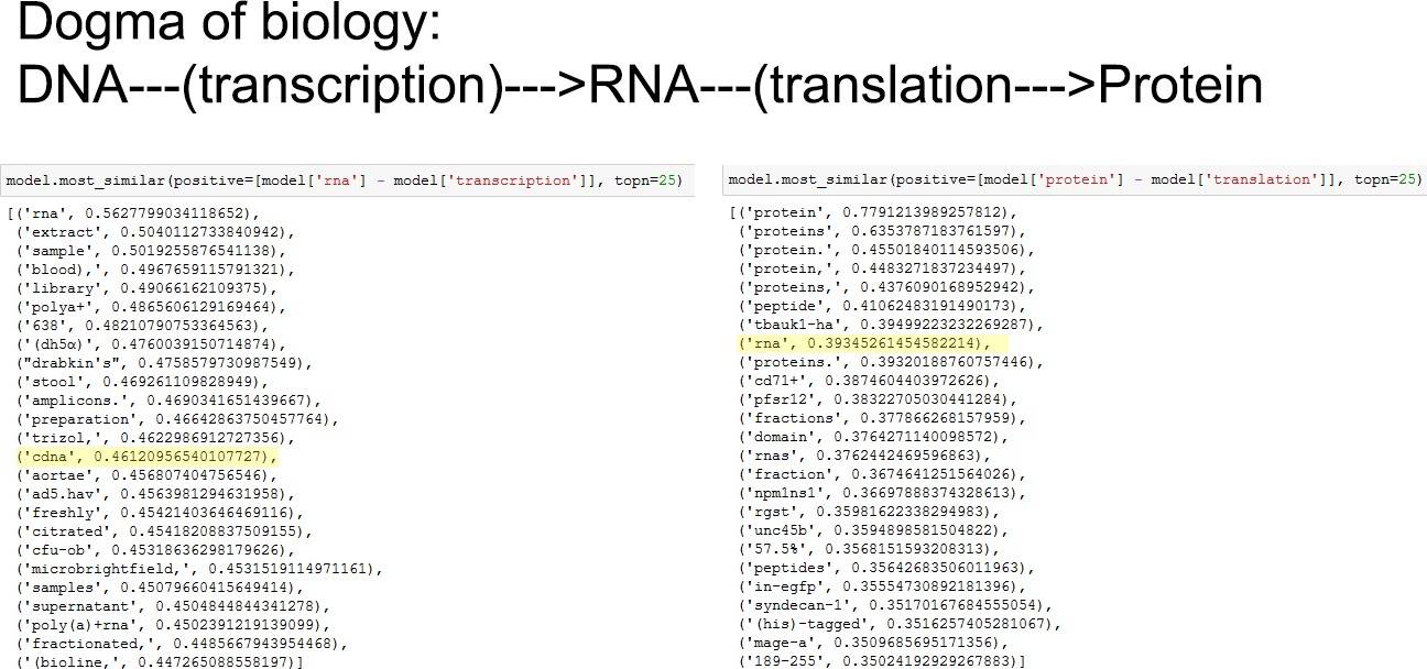 SciSpy - How to build intelligent text search and how to predict the future of science