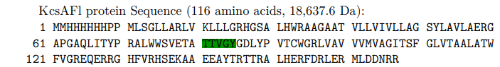 Enhancing Accessibility of My PhD Thesis: Utilizing a Prompt Interface to Make Scientific Knowledge Available to Laymen